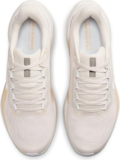 Nike Pegasus 41 Men's Road Running Shoes